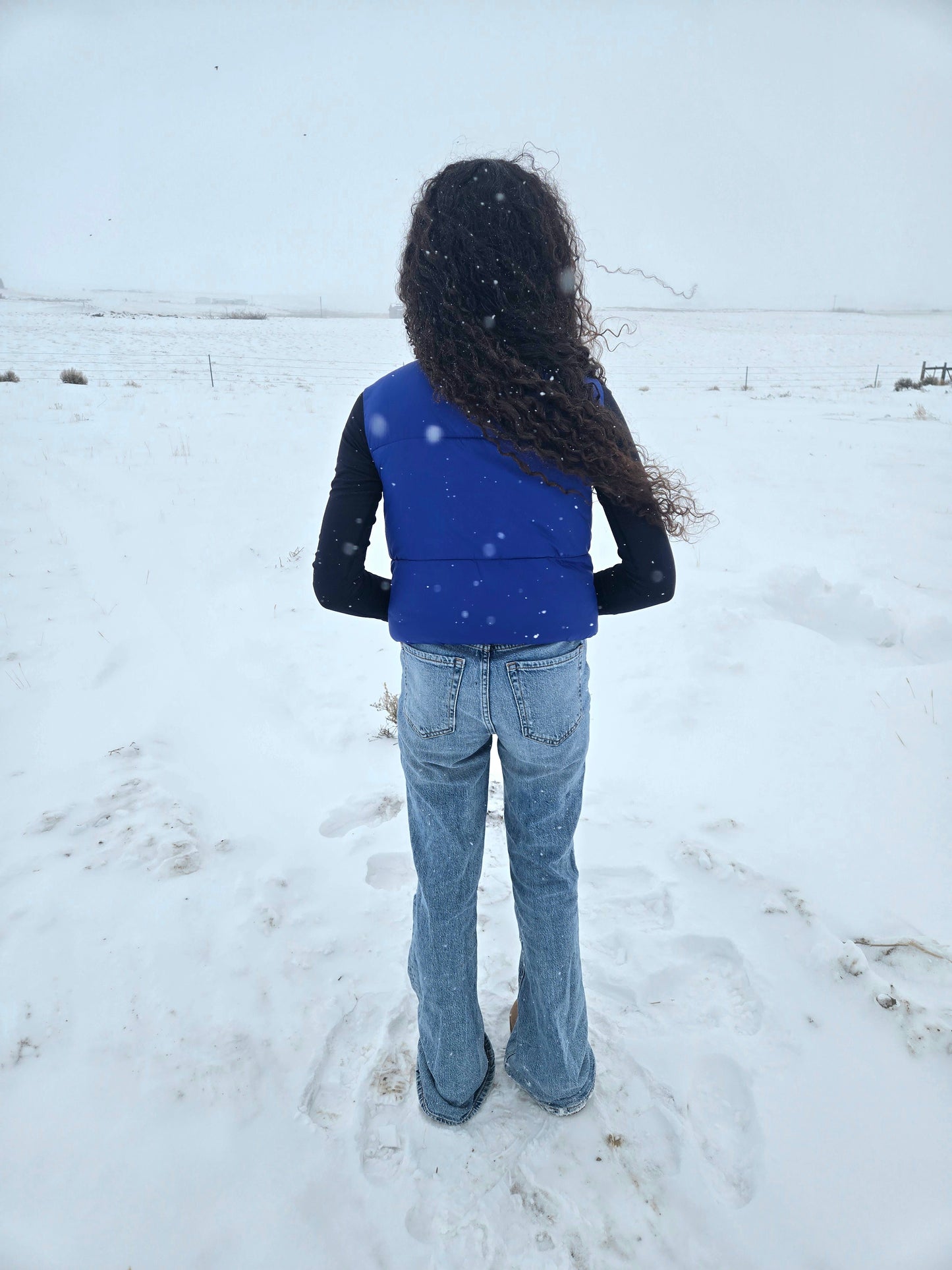Cobalt Puffer Vest
