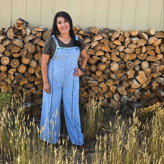 Denim Overalls